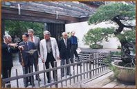 Tree-Haven School of Bonsai